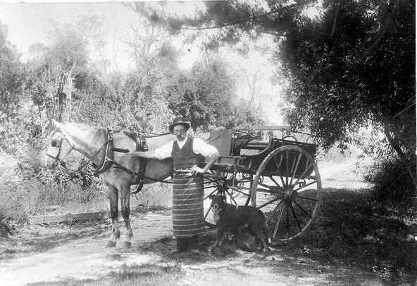 Card Brothers